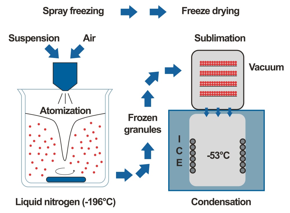 How Freeze Drying Works 